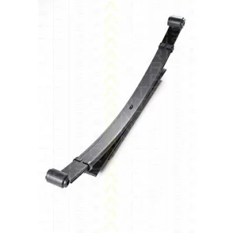 Groupe de ressorts TRISCAN [8765 50001]