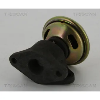 TRISCAN 8813 16026 - Vanne EGR