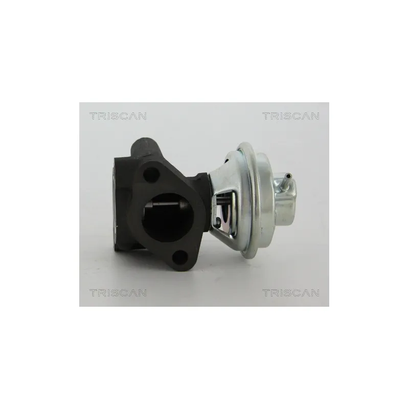 Vanne EGR TRISCAN 8813 43016 - Visuel 2