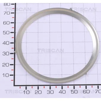 TRISCAN 8813 99168 - Joint