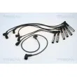 Kit de câbles d'allumage TRISCAN [8860 23002]