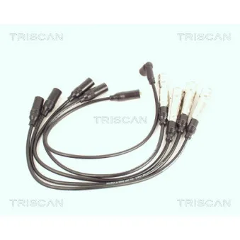 Kit de câbles d'allumage TRISCAN [8860 4102]