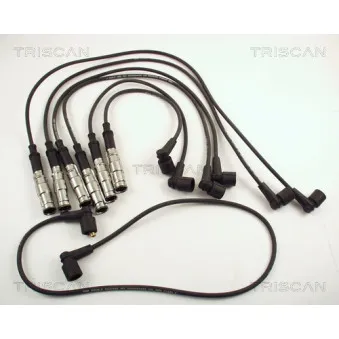 TRISCAN 8860 4111 - Kit de câbles d'allumage