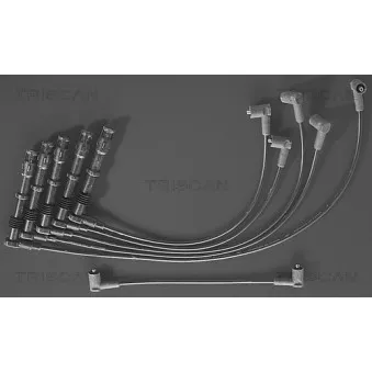 Kit de câbles d'allumage TRISCAN [8860 4125]