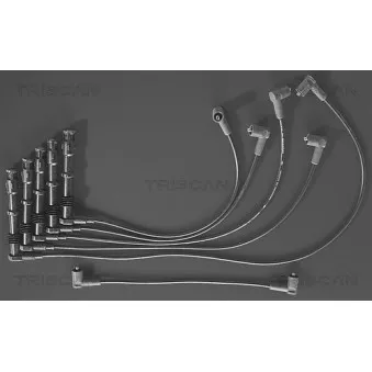 Kit de câbles d'allumage TRISCAN [8860 4131]