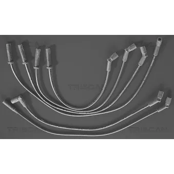 Kit de câbles d'allumage TRISCAN [8860 4326]