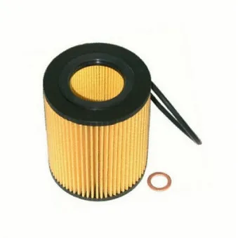 Filtre à huile HOFFER OEM 30750013