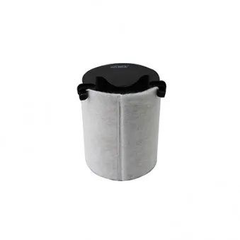 Filtre à air HOFFER OEM 1F0129620