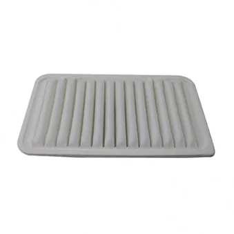 Filtre à air HOFFER OEM 1378069l00