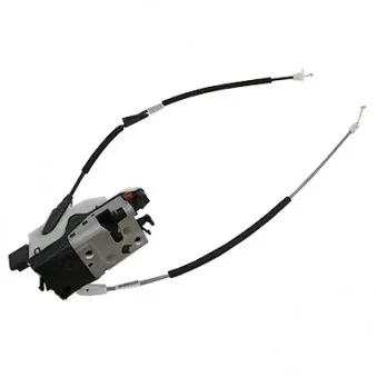 Serrure de porte arrière droit HOFFER 3100273