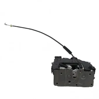 Serrure de porte arrière gauche HOFFER 3100333