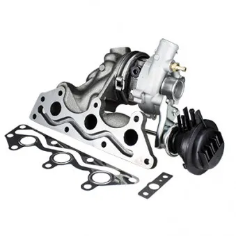 Turbocompresseur, suralimentation HOFFER OEM 0012473V001