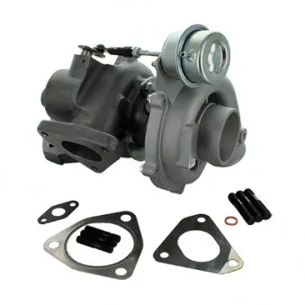 HOFFER 6900254 - Turbocompresseur, suralimentation