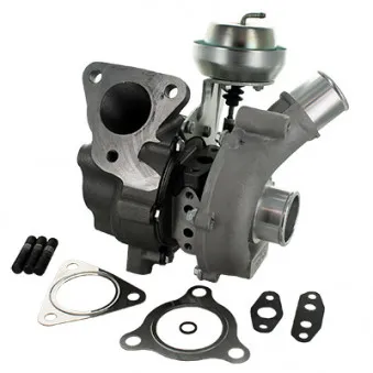 HOFFER 6900256 - Turbocompresseur, suralimentation