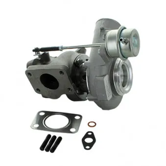 Turbocompresseur, suralimentation HOFFER OEM 9172123