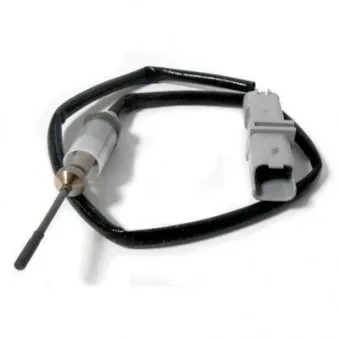 Capteur, température des gaz HOFFER OEM 1628VZ