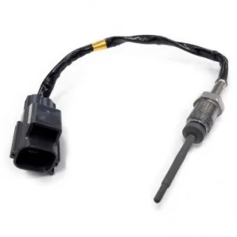 Capteur, température des gaz HOFFER 7451914