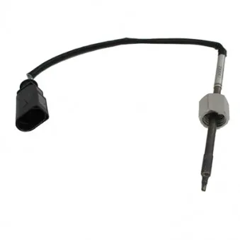 Capteur, température des gaz HOFFER OEM 27072