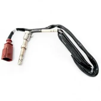 Capteur, température des gaz HOFFER OEM 03l906088j