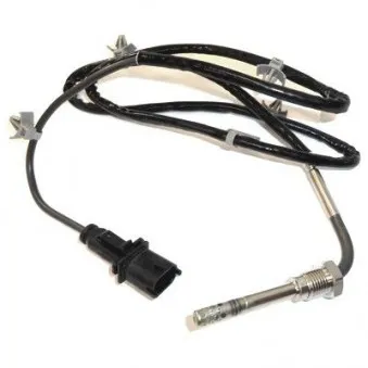 Capteur, température des gaz HOFFER OEM 055566086