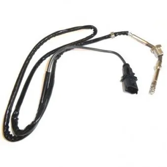 Capteur, température des gaz HOFFER OEM 55566631