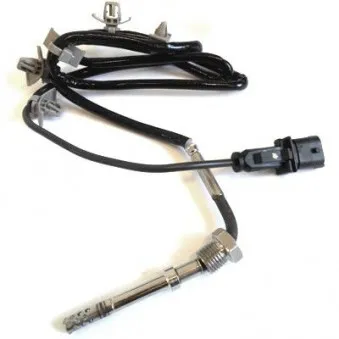 Capteur, température des gaz HOFFER OEM 055566575