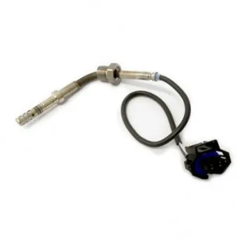 Capteur, température des gaz HOFFER OEM 04803538