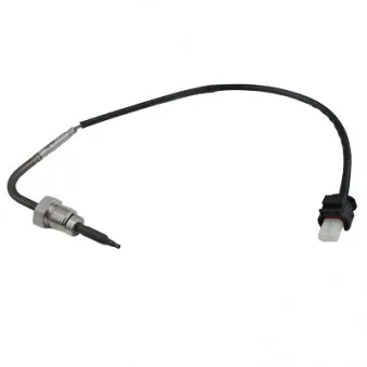 Capteur, température des gaz HOFFER OEM A0019050900