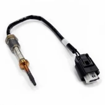 Capteur, température des gaz HOFFER OEM 7809153