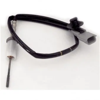 Capteur, température des gaz HOFFER OEM 093168456