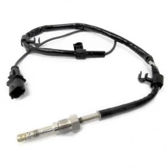 Capteur, température des gaz HOFFER OEM 1481062m00