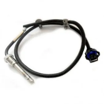 Capteur, température des gaz HOFFER OEM 4818660