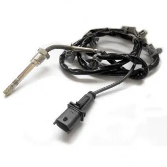 Capteur, température des gaz HOFFER OEM 55580025