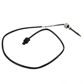 Capteur, température des gaz HOFFER OEM A0071539828