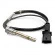 HOFFER 7452137 - Capteur, température des gaz