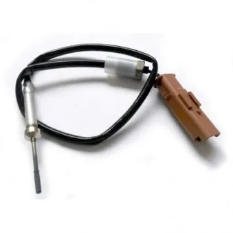 Capteur, température des gaz HOFFER OEM 1618lw