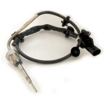 Capteur, température des gaz HOFFER OEM 01247511