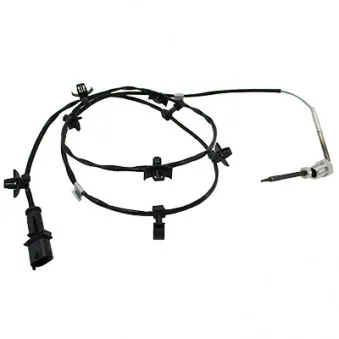 Capteur, température des gaz HOFFER OEM 01247292