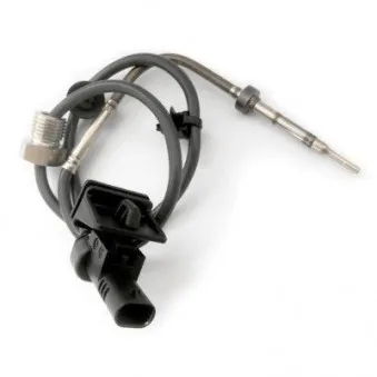 Capteur, température des gaz HOFFER OEM 01249064