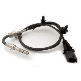 Capteur, température des gaz HOFFER OEM 055596171