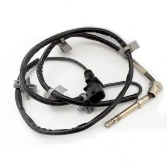 Capteur, température des gaz HOFFER OEM 0855556
