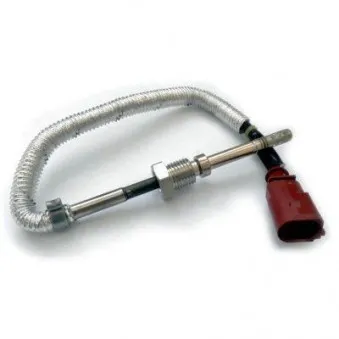 Capteur, température des gaz HOFFER OEM 059906088M