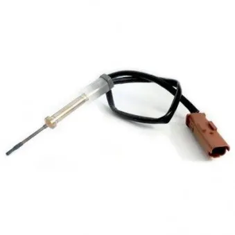 Capteur, température des gaz HOFFER 7452284