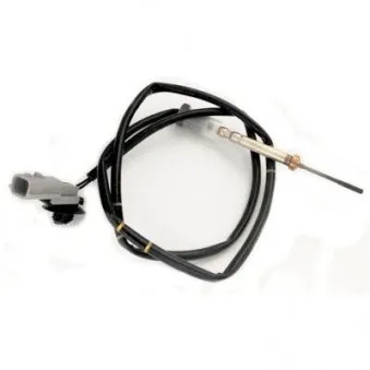 Capteur, température des gaz HOFFER OEM 226406229r