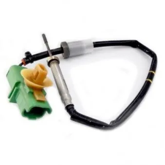 Capteur, température des gaz HOFFER 7452289