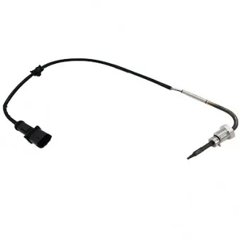 Capteur, température des gaz HOFFER OEM 01247634