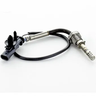 Capteur, température des gaz HOFFER OEM 31293880