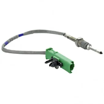 Capteur, température des gaz HOFFER OEM 1715815