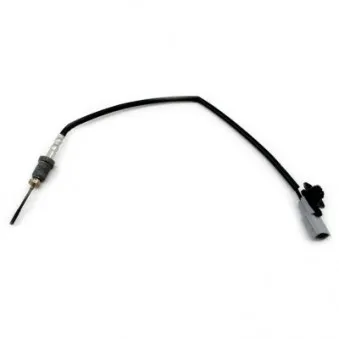 Capteur, température des gaz HOFFER OEM 093168641