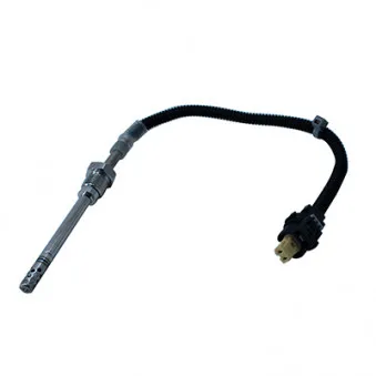 Capteur, température des gaz HOFFER OEM 0019052300